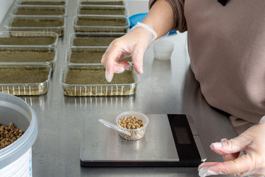 Similar image 21195003