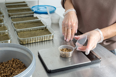 Similar image 21195004