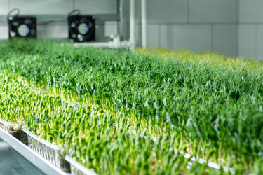 Similar image 21195006