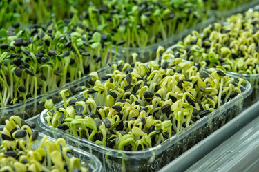 Similar image 21195007