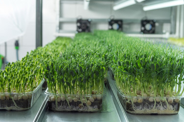 Similar image 21195008