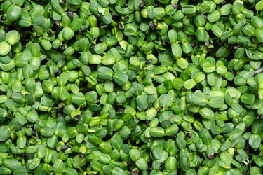 Similar image 21195010