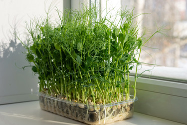 Similar image 21195011