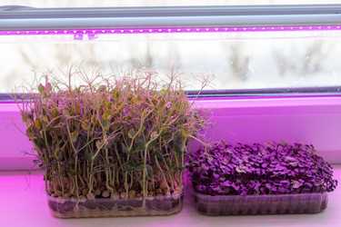 Similar image 21195012