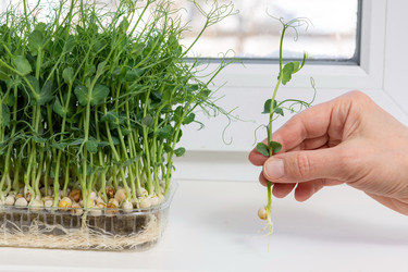 Similar image 21195014