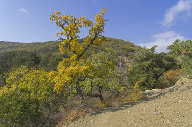 Similar image 21189536