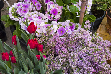 Similar image 21189538