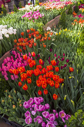 Similar image 21189539