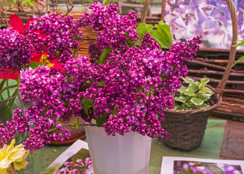 Similar image 21189541