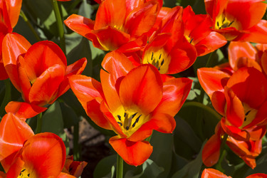 Similar image 21189542