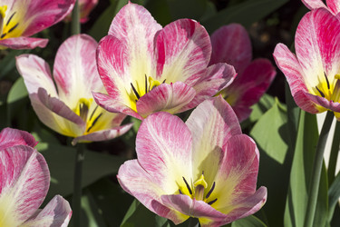 Similar image 21189543