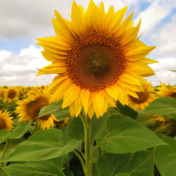 Similar image 21192497