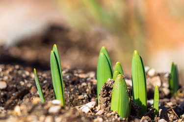 Similar image 21195176