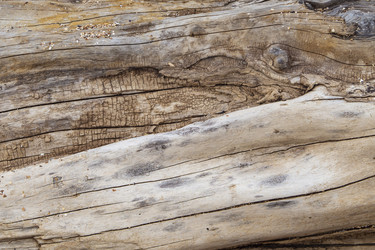 Similar image 21192307