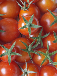 Similar image 21193018