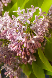 Similar image 21193021