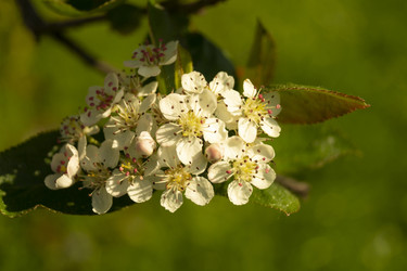 Similar image 21193025