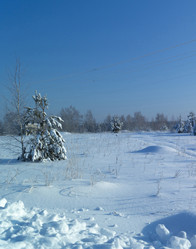 Similar image 21193026