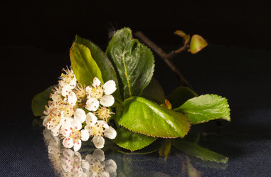 Similar image 21193027