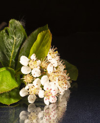 Similar image 21193029