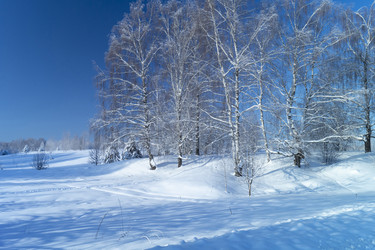 Similar image 21193030