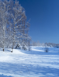 Similar image 21193032