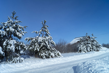 Similar image 21193034