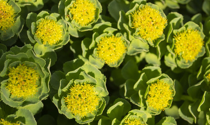 Similar image 21193035