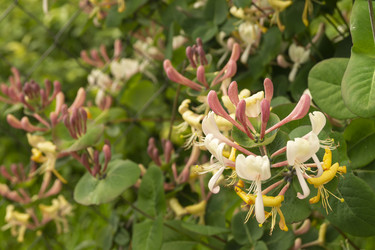 Similar image 21193037