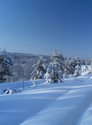 Similar image 21193038