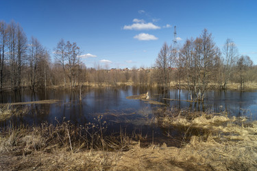 Similar image 21193042