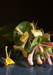 Similar image 21193043