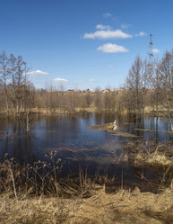 Similar image 21193044