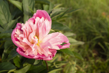 Similar image 21193045