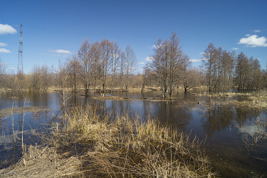 Similar image 21193046