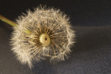 Similar image 21193047