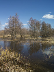 Similar image 21193048