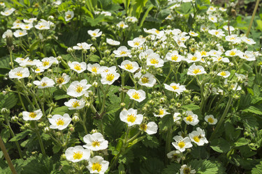 Similar image 21193051