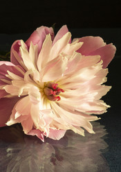 Similar image 21193053