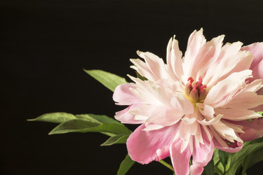 Similar image 21193055