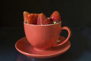 Similar image 21193059