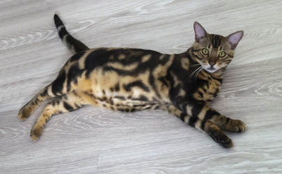 Similar image 21193065