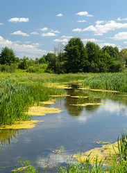 Similar image 21193067