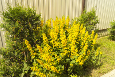 Similar image 21193068