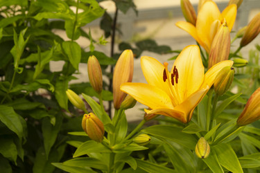 Similar image 21193070