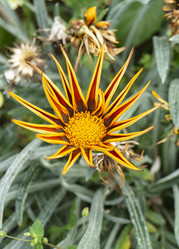 Similar image 21193071