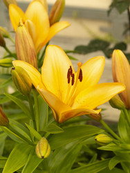 Similar image 21193072