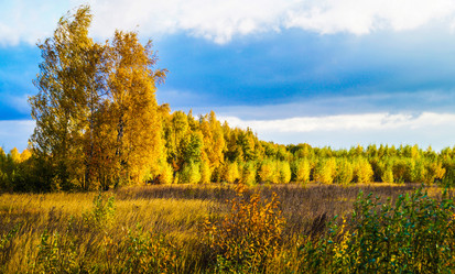 Similar image 21193075