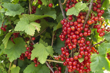 Similar image 21193076