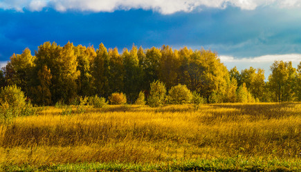 Similar image 21193077